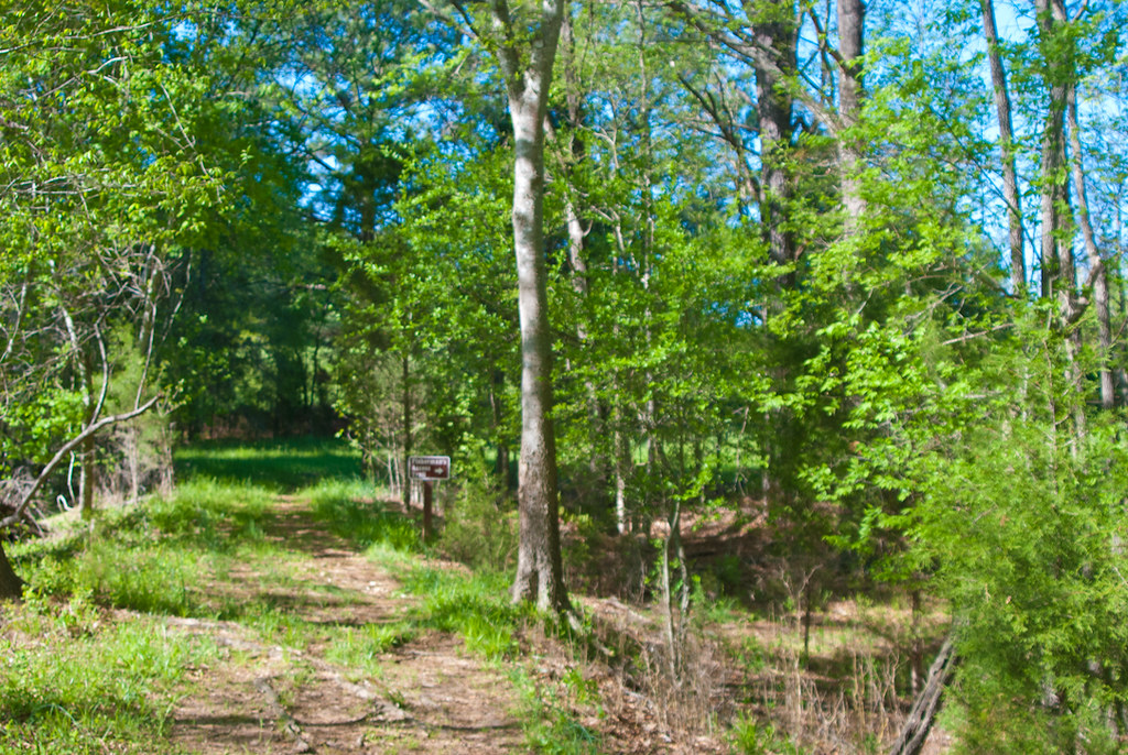 Star Fort Pond Florida Hikes Flickr