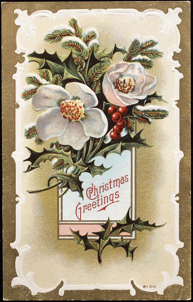Wild Rose Christmas Image No Xmascard6 Title Christmas … Flickr