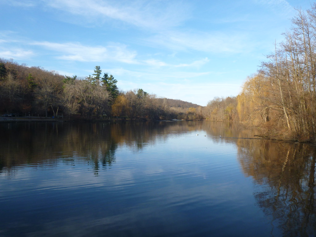 Woodlands Lake Probably the best of today Takashi M Flickr