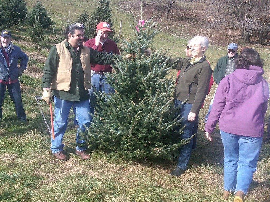 Christmas Tree Cutting Mass. Office of Energy & Environmental Affairs