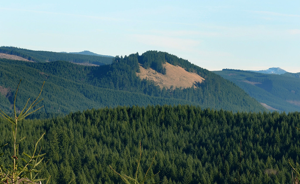 Old Grassy Mtn. Mohawk Valley Oregon. curtis Irish Flickr