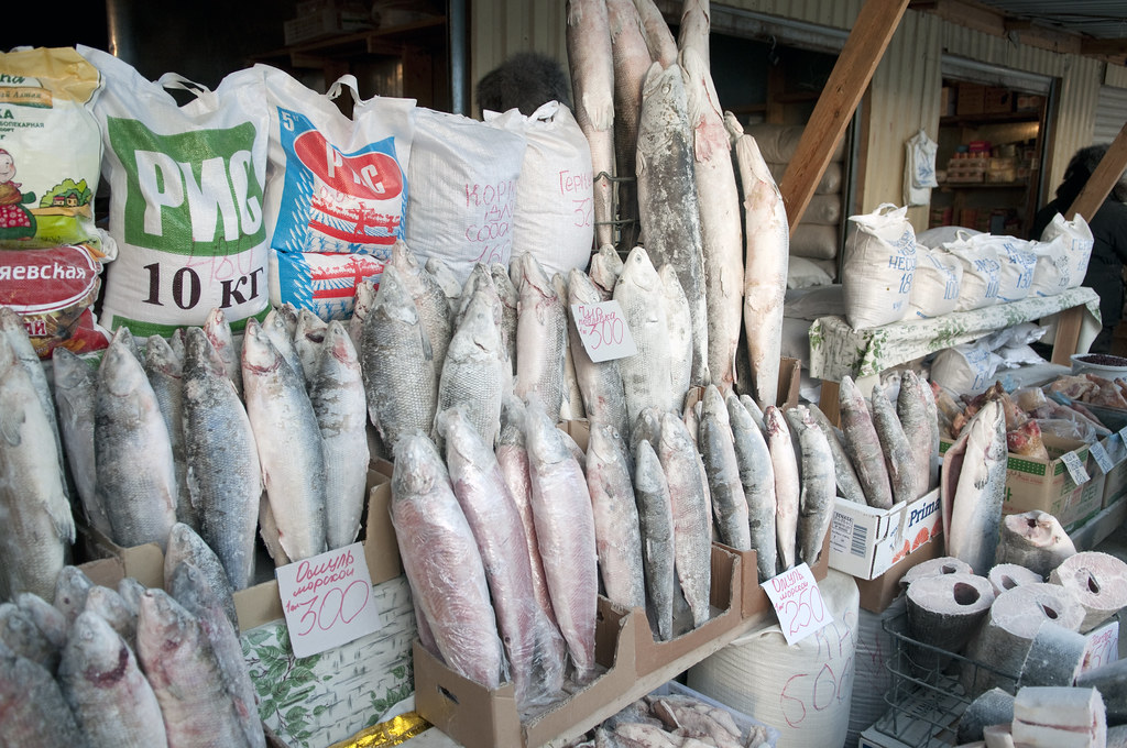 Frozen fish at the market in Yakutsk Hannes Rada Flickr