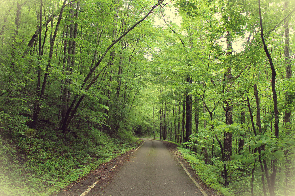 Cranks Lake Harlan County, Kentucky Jamie Middleton Flickr