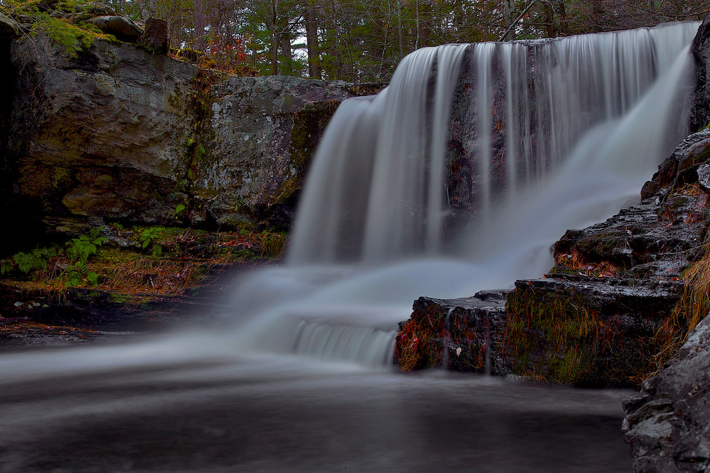 Elevation of Rodeo Lane, Rodeo Ln, Blooming Grove Township, PA, USA