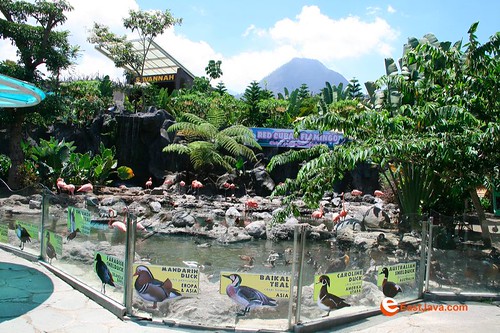 Secret Garden Simpangan Depok Royal Garden Spa CCI Rewards / Bekasi