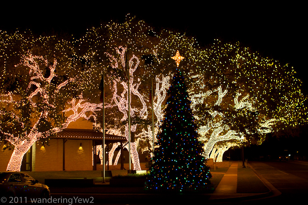 "Forest of Christmas Lights 2" Johnson City Christmas Lig… Flickr