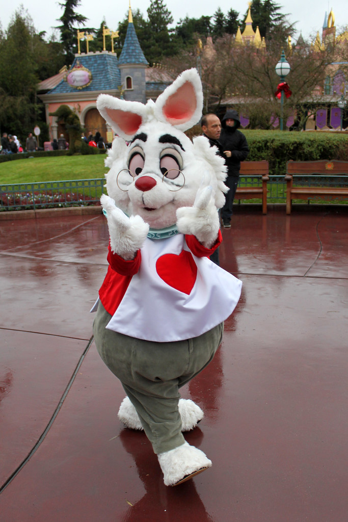 White Rabbit Disneyland