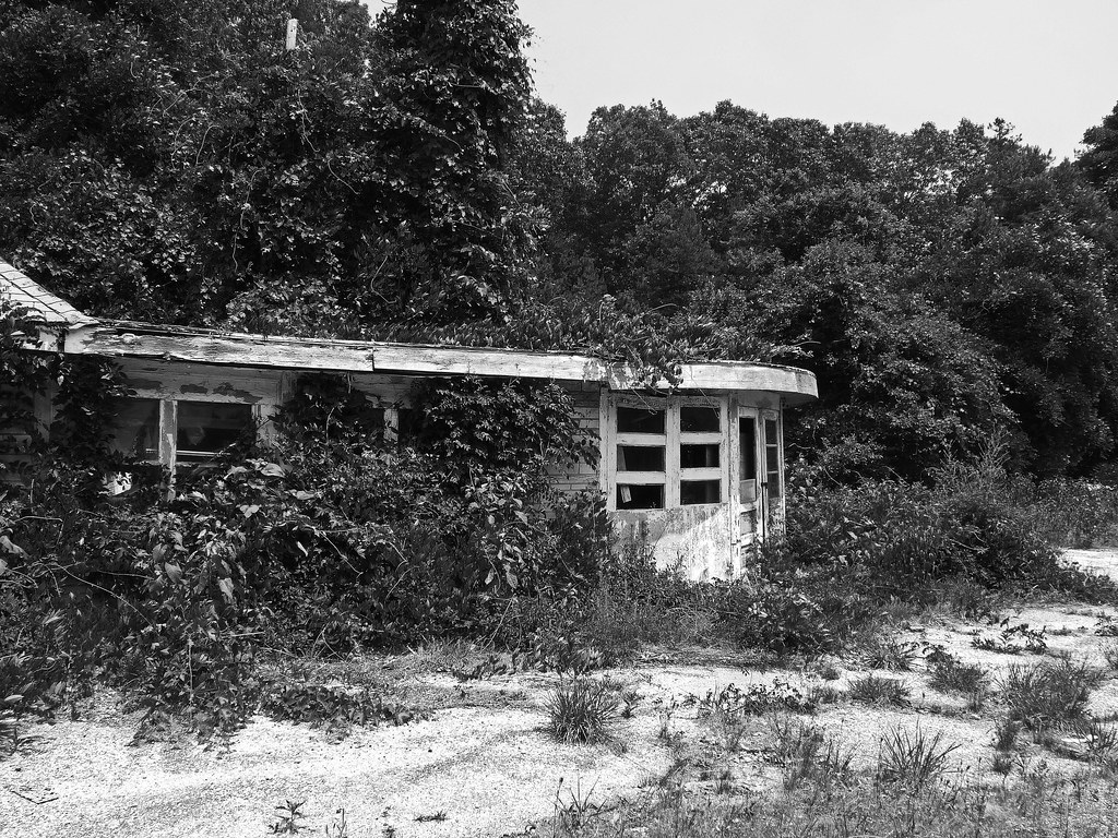 blhrspk6a Black Horse Pike, Southern New Jersey David Hewitt Flickr