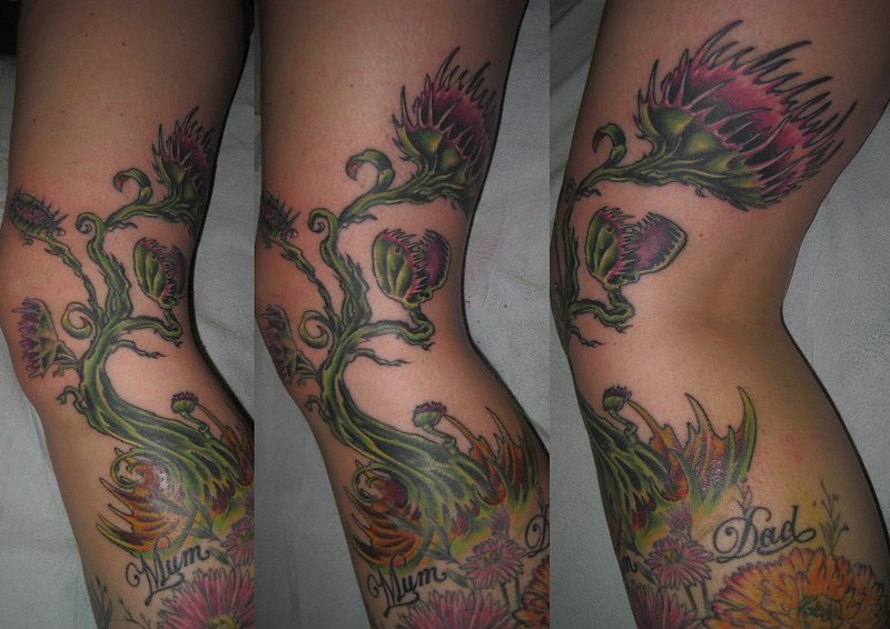 Venus Fly Trap Tattoo | Uniqueink | Flickr 566_x_800_jpg