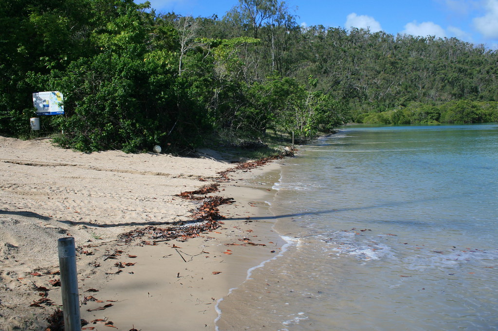 Orpheus island Research Station, Pioneer Bay. The shorelin… Flickr