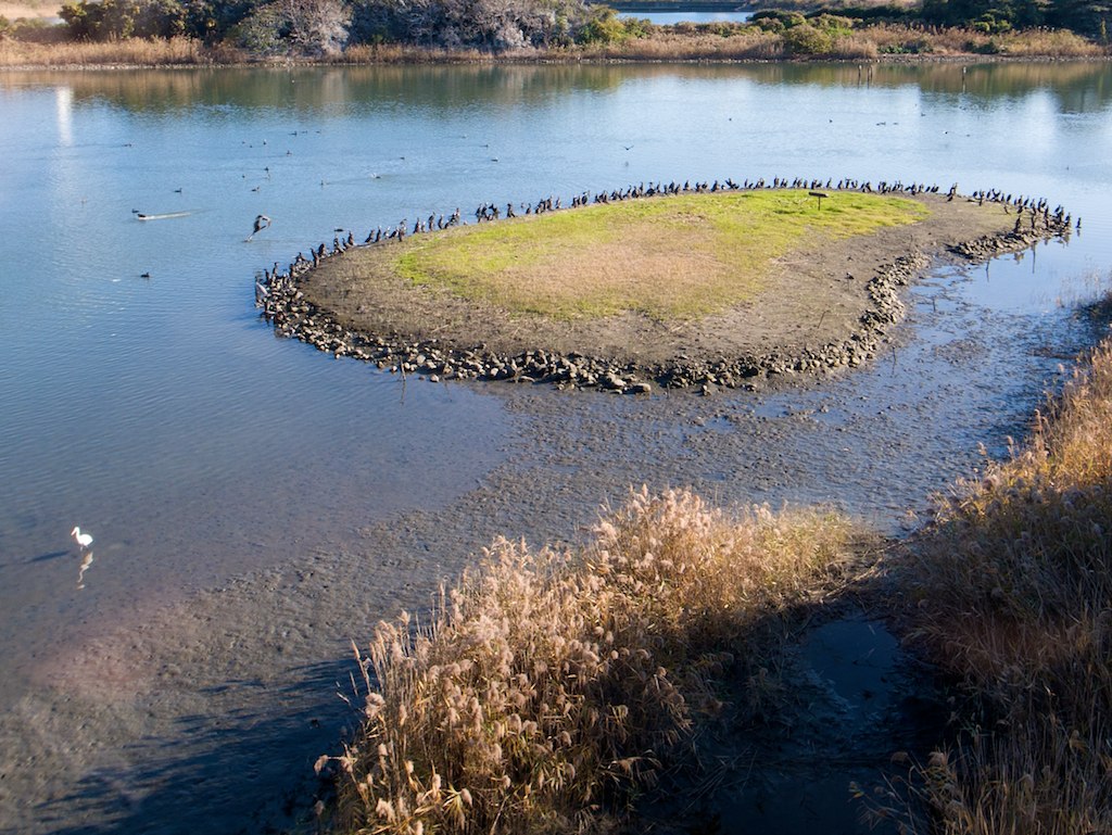 birds sanctuary houroumono Flickr