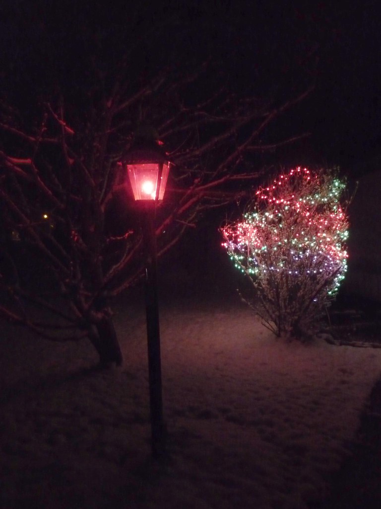 Christmas lights Belmont, Michigan creed_400 Flickr