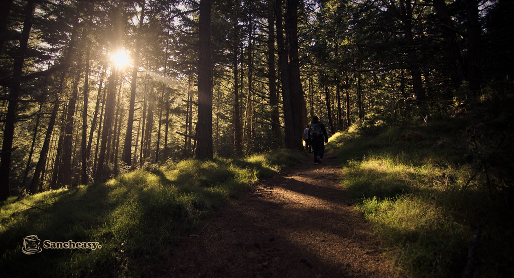 Point Reyes state park, CA Thanks for the watermark fishey… Flickr