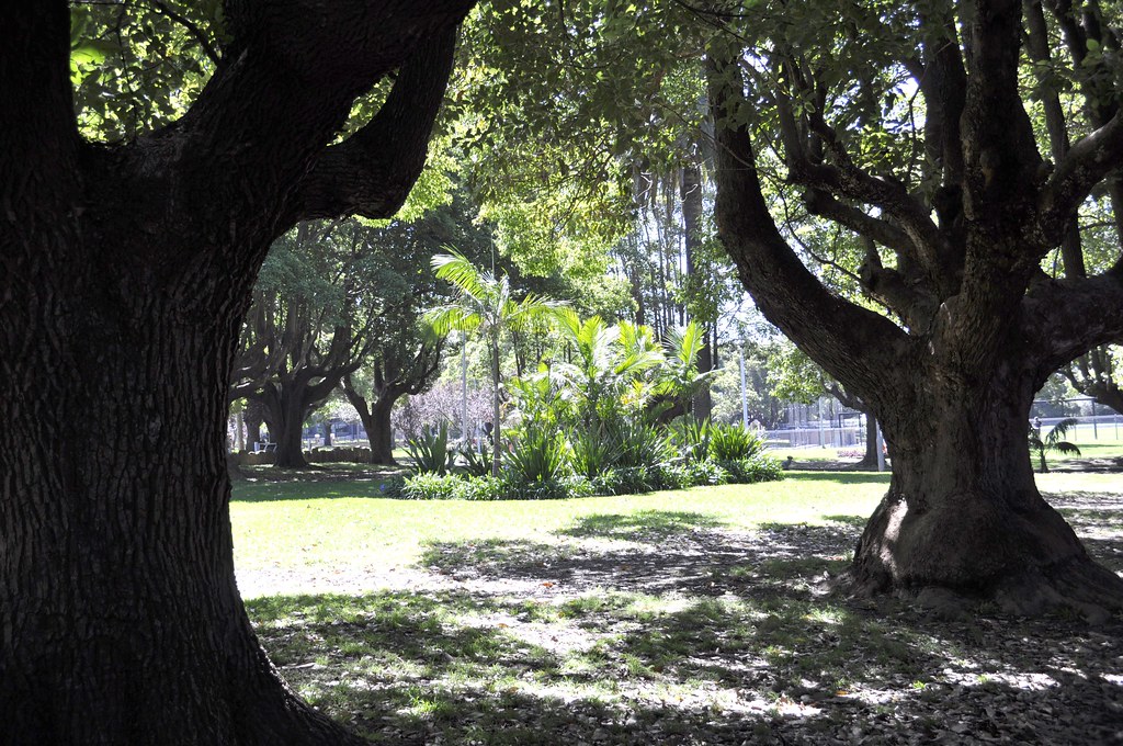 Petersham Park New Years' Day 2012 John Cowper Flickr
