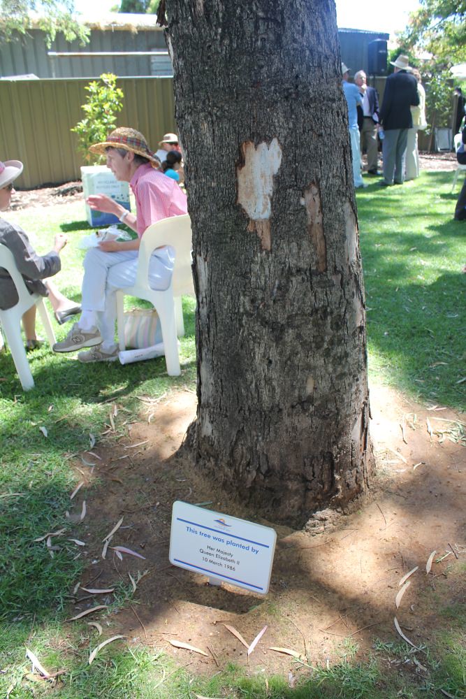 The tree planted by Queen Elizabeth II on 10 March 1986 Flickr