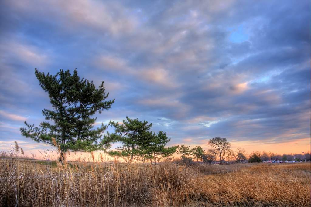 Blacks Creek Marsh sky and pines, Quincy MA Steven Baglione Flickr