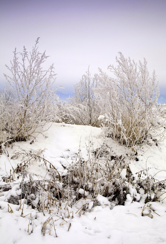 Snow, snow, snow,... Warm greetings from the snowcovered