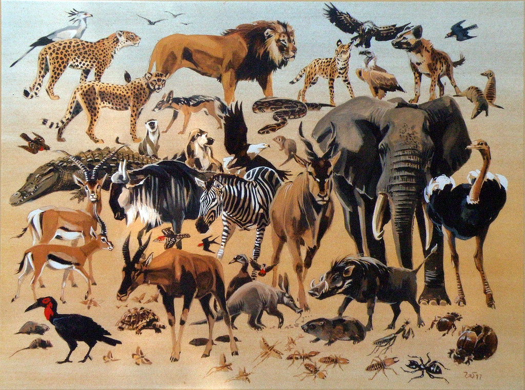 Serengeti's animal diversity "Serengeti's animal diversity… Flickr