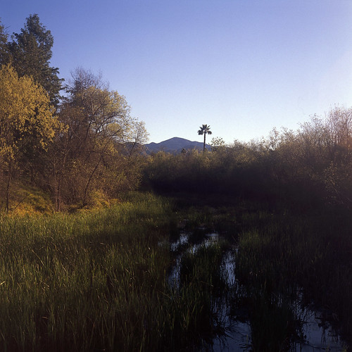 poway creeks studies 3 Poway Creek at Community Road, look… Flickr