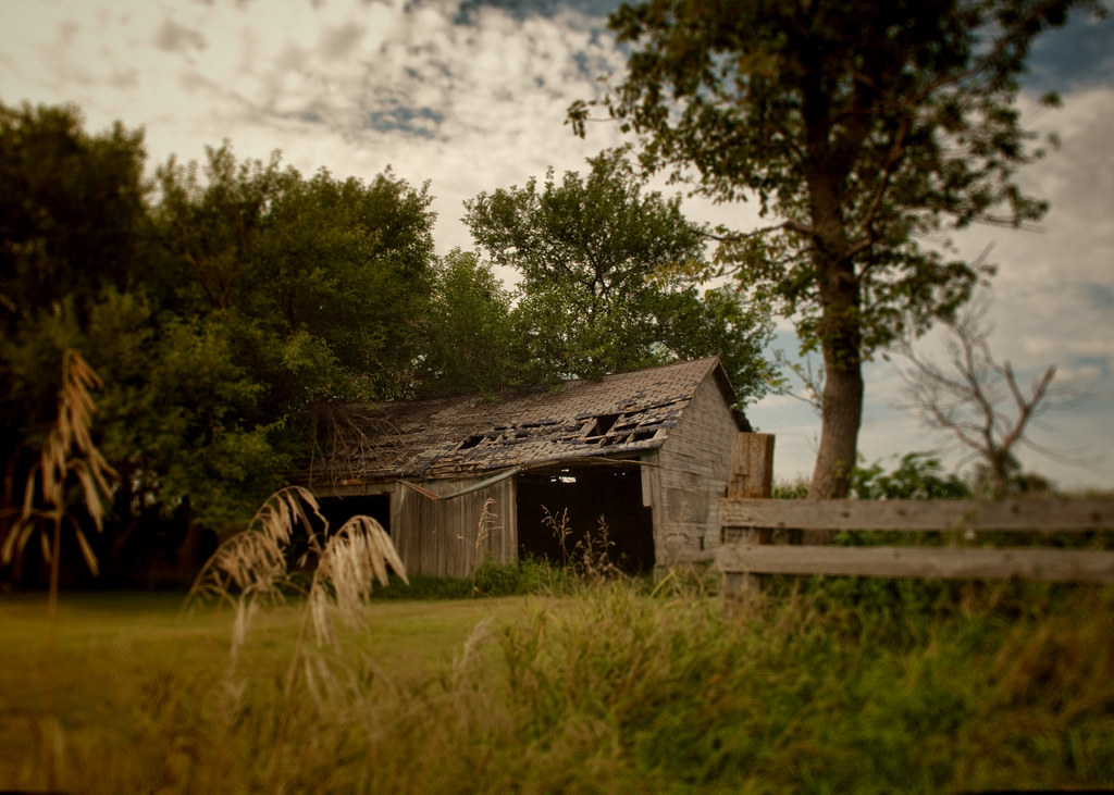 Petersville, Iowa After too much Christmas, time for a war… Flickr