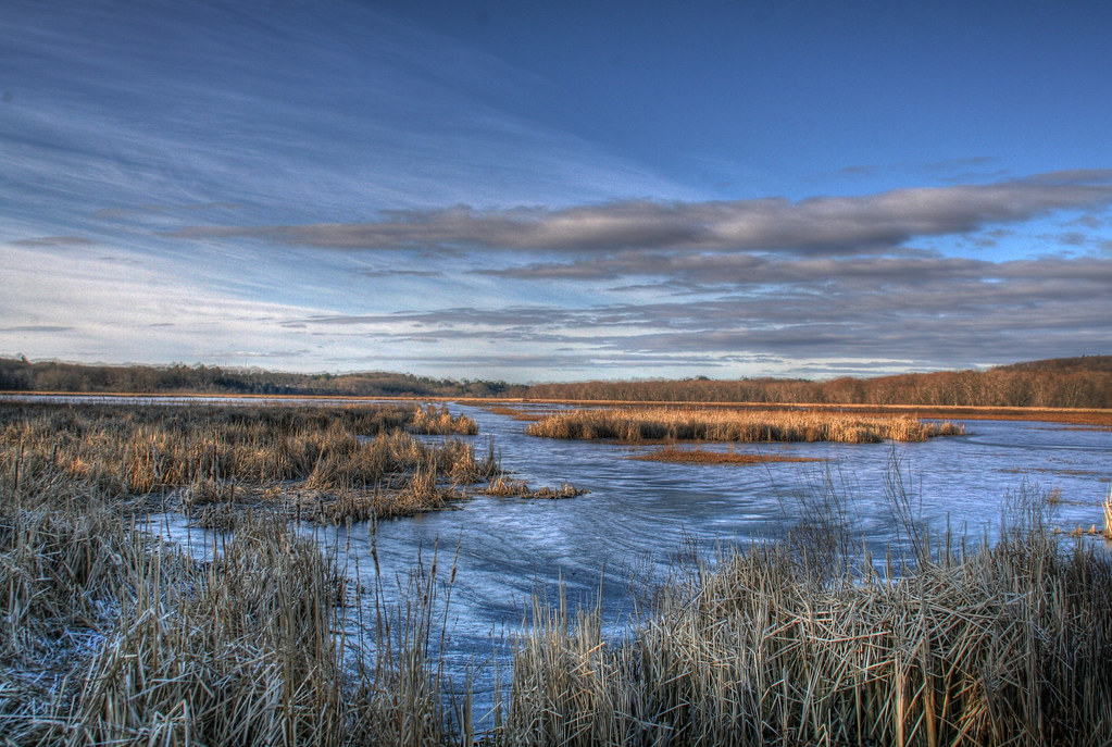 Great Meadows Cold Morning Great Meadows Wildlife Refuge C… Flickr