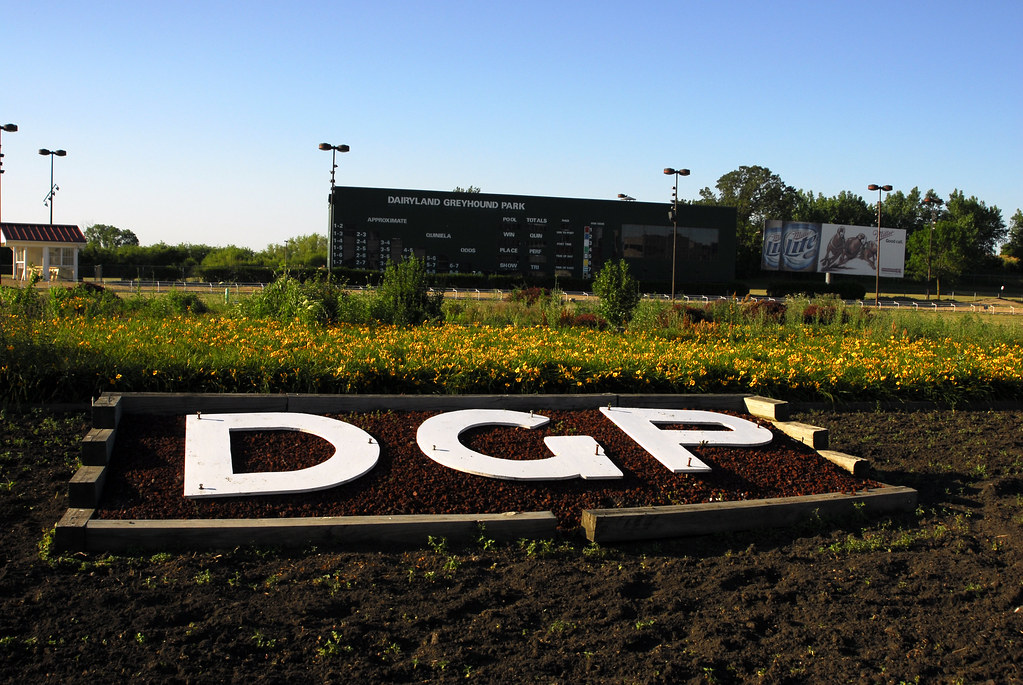 Dairyland Greyhound Park Nitram242 Flickr