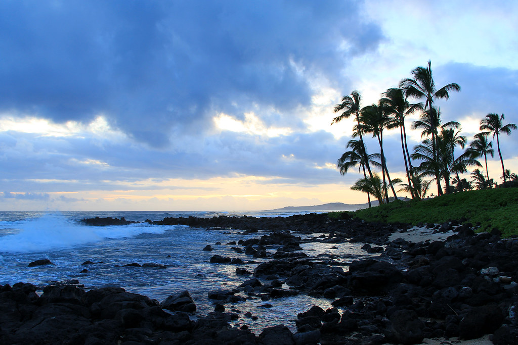 Elevation of Kalaheo Dr, Kalaheo, HI, USA Topographic Map Altitude Map