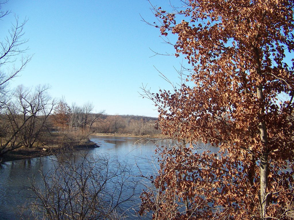 Brown Leaves Part of the La Cygnes Lake and Wildlife Area.… Mike