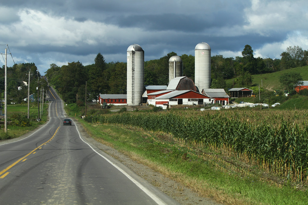 Dairy farm and Corn rows Chris Waits Flickr