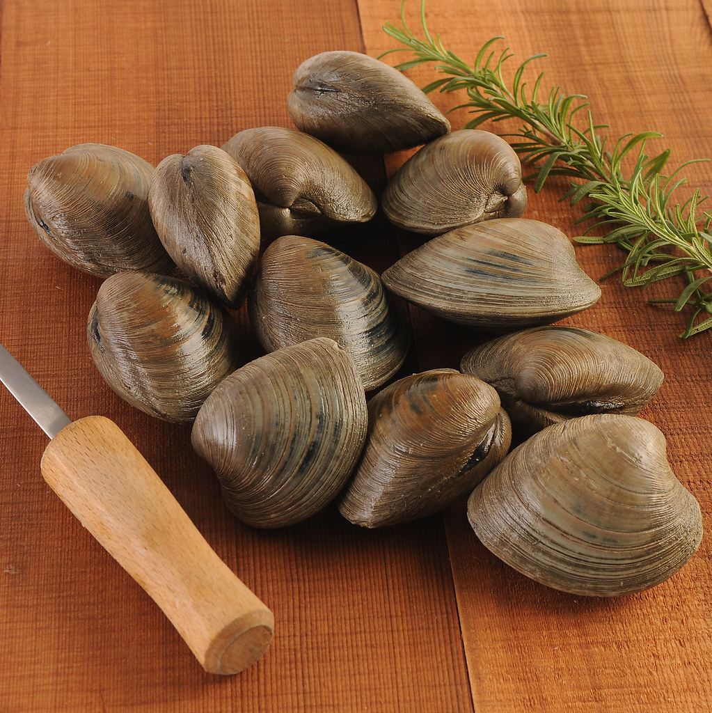 Topneck Clams (One Dozen) Our fresh Topneck clams are swee… Flickr