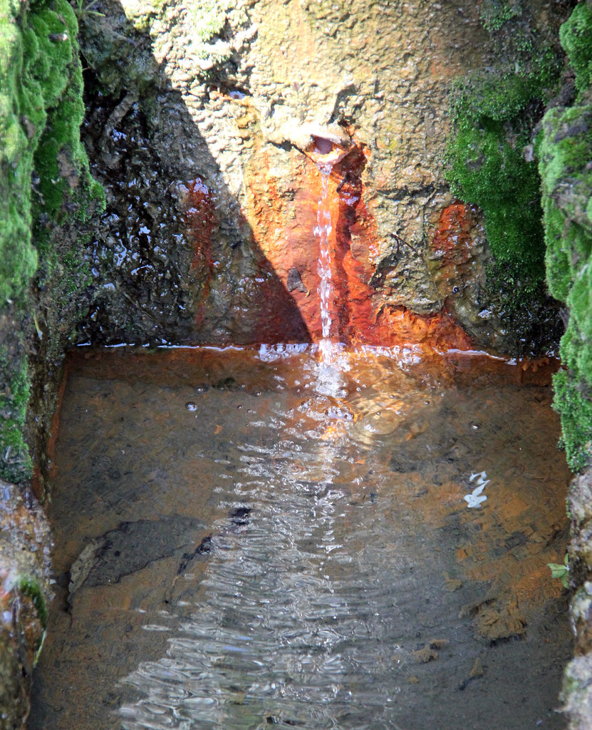 moss and iron stage at leitches creek_4888 gervo1865_2 LJ Gervasoni
