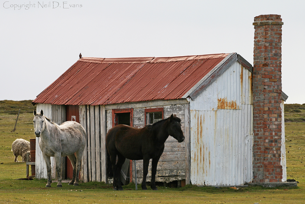 Saunders Settlement at Arnold Mccleary blog