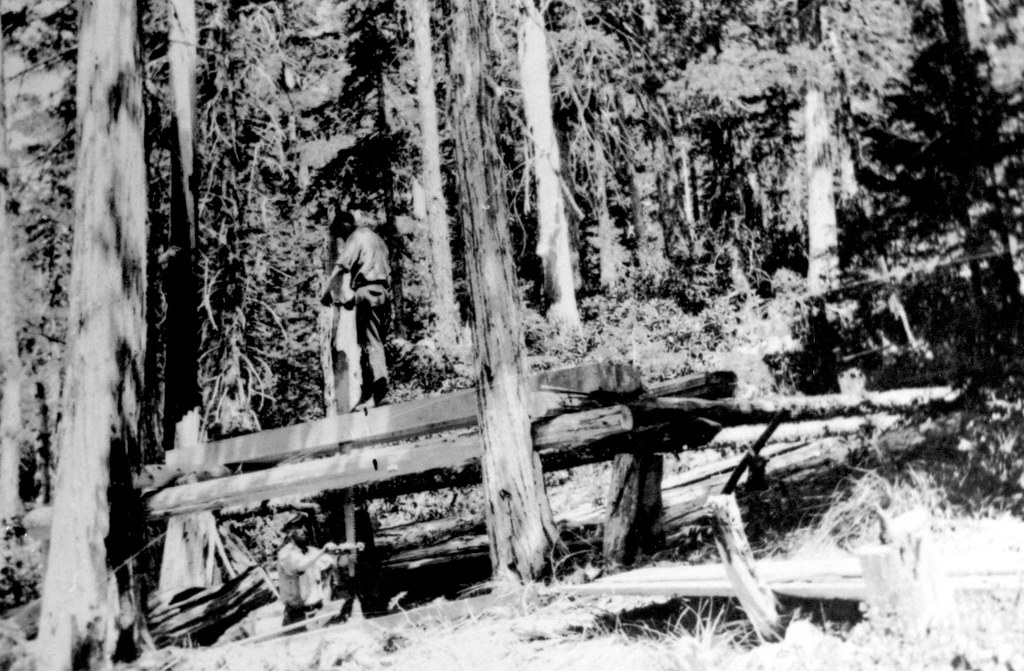 Oregon_BLM_Forestry_Photos_06 As Oregonians look to the fu… Flickr