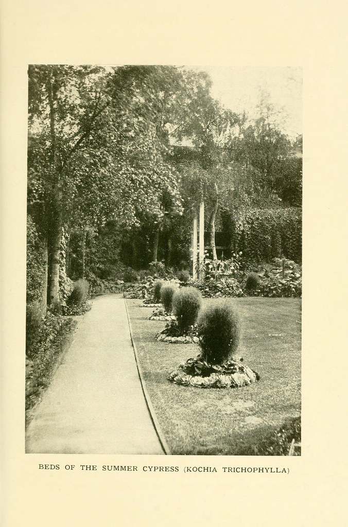 n206_w1150 The book of hardy flowers New York,Funk & Wagna… Flickr