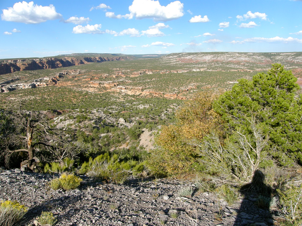 Nazlini, Arizona 20 miles north of Ganado AZ along Navajo