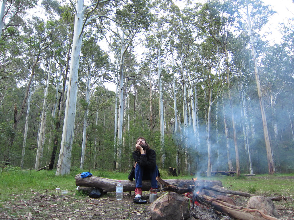 Acacia flats amplexus Flickr