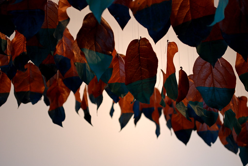 2000 leaves move christinawatka Flickr