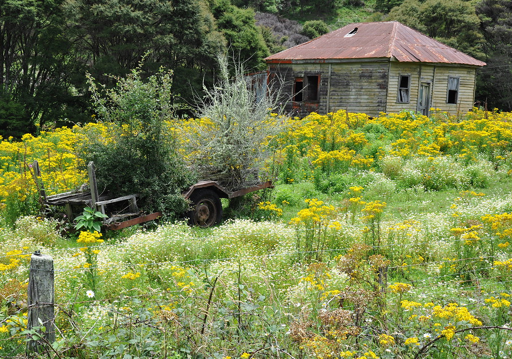 House & Trailer 309 Road, Coromandel Peninsula, NZ KiwiPatPhooey