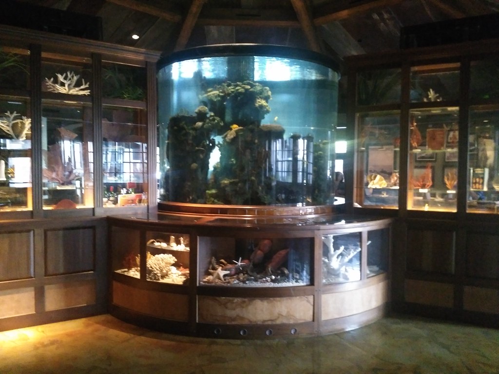 Islamorada Fish Company at Bass Pro Shops Nice restaurant … Flickr