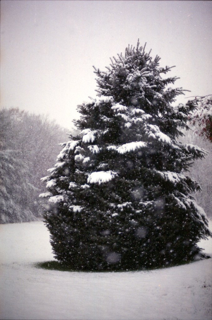 Taken in Parkton, Maryland with a Nikon FM2n and 50mm f/1… Flickr