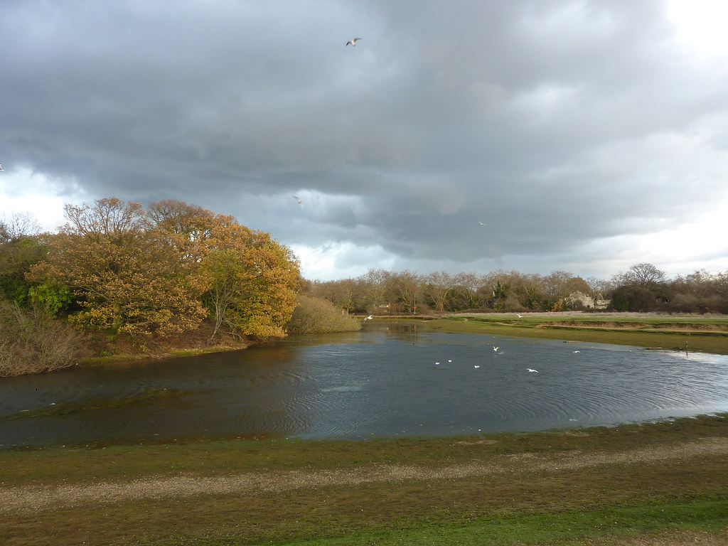 Wanstead Flats Amazing light today at Alex pond Linda Hartley Flickr