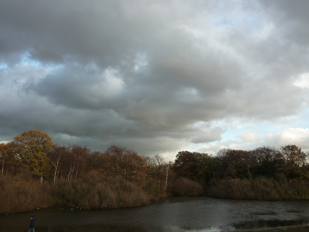 Wanstead Flats Amazing light today at Alex pond Linda Hartley Flickr
