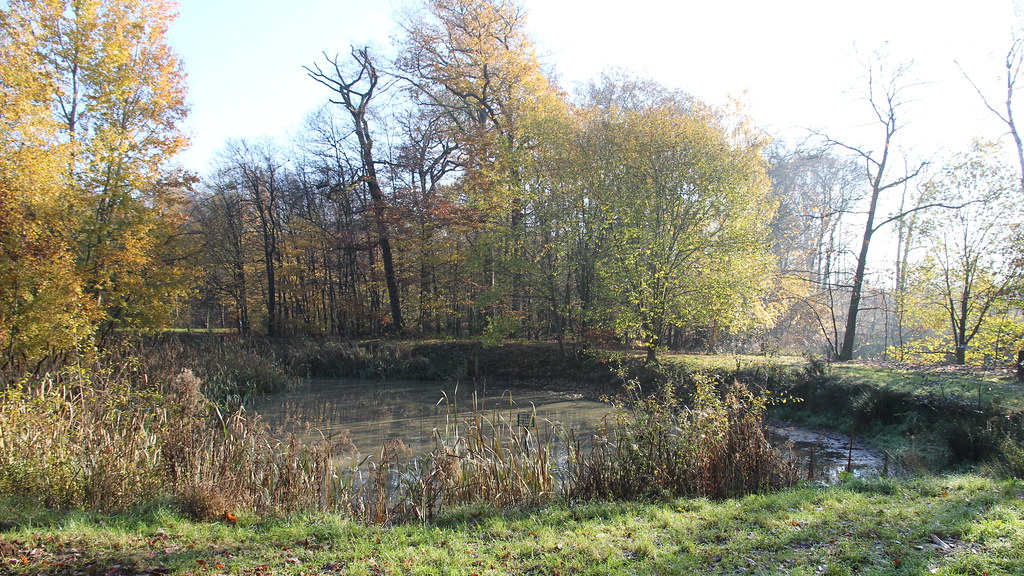 Randonnée forêt de VerrièresleBuisson Circuit à cheval s… Flickr