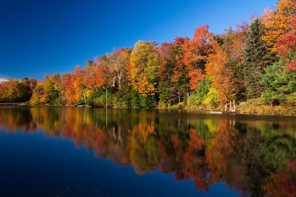 Elevation of Sunrise Loop, Henryville, PA, USA Topographic Map Altitude Map