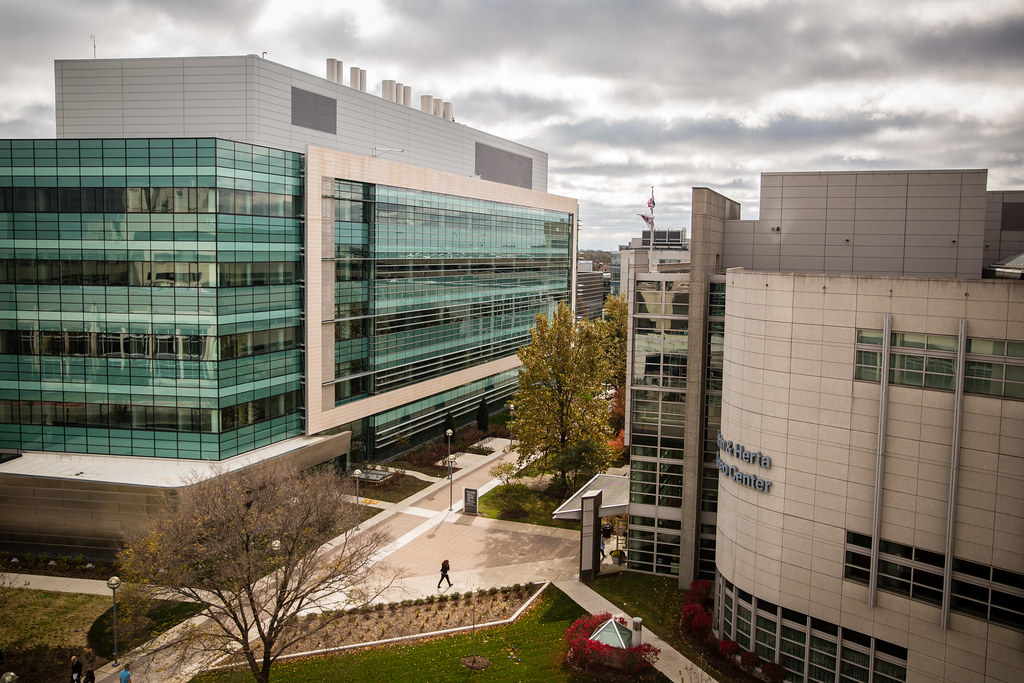 Loyola Chicago Center Loyola University Chicago (LUC