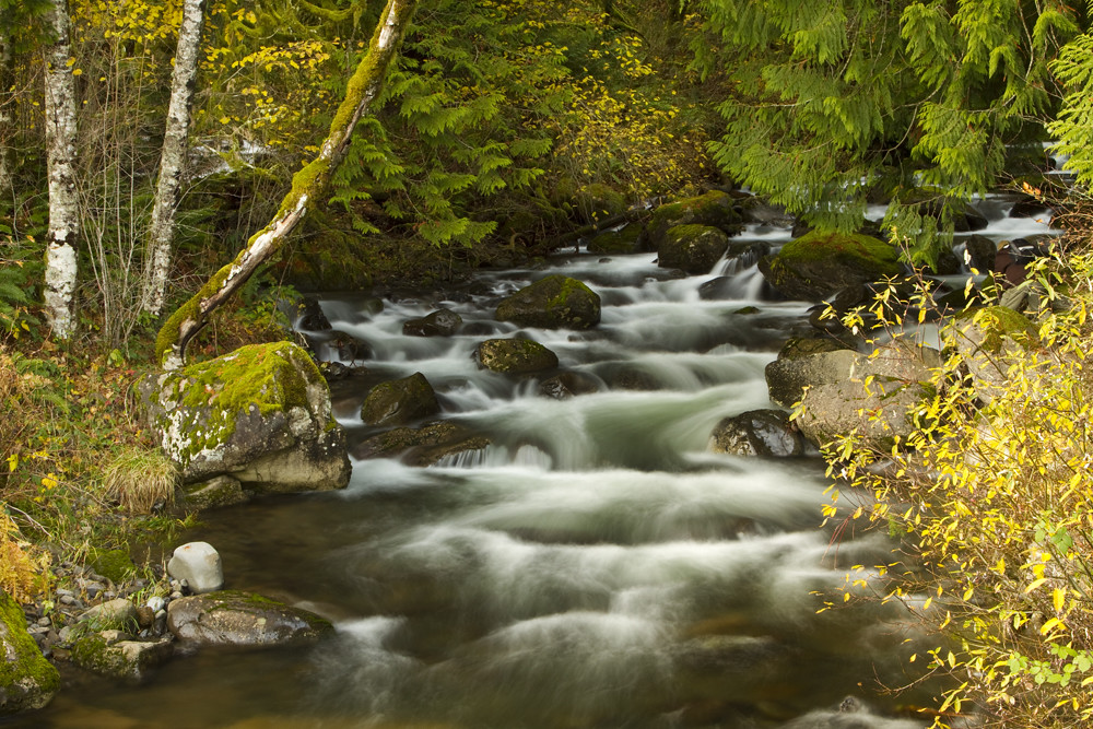 Duncan Creek One of our last stops was at Duncan Creek on … Flickr