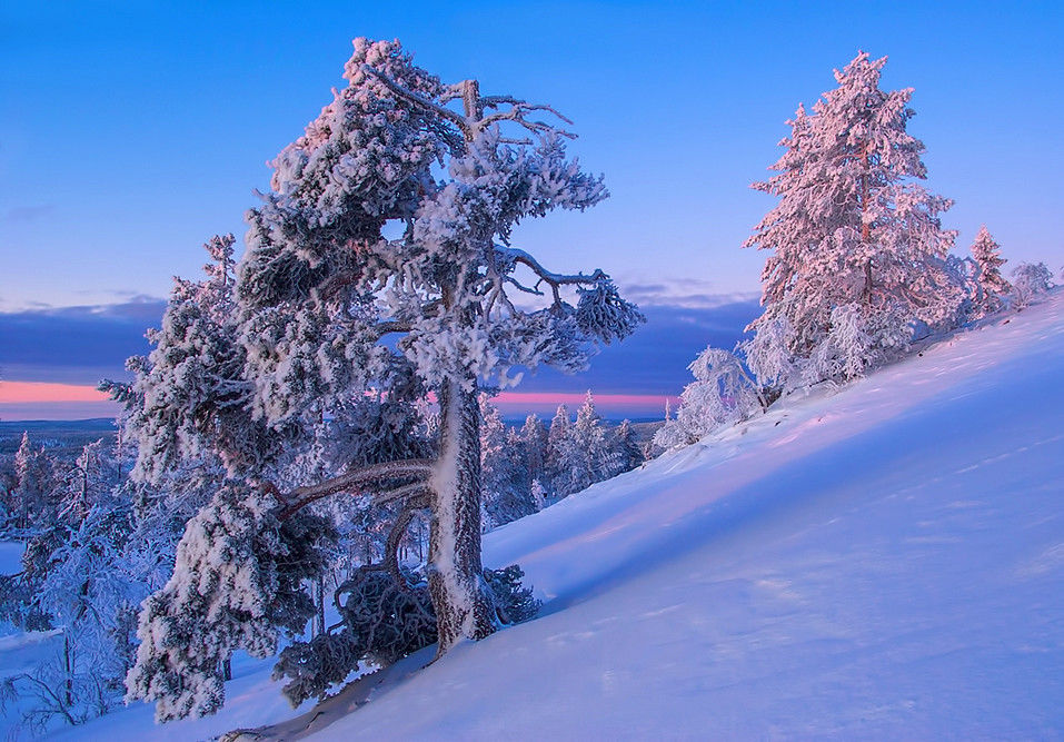 Lapland landscape Ylläs, Finnish Lapland Jorma Hevonkoski Flickr