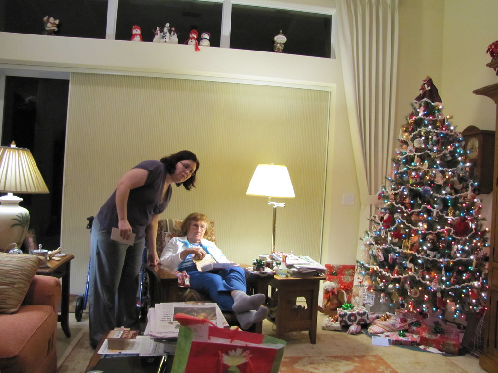 Longwood Gardens_Knitting2011 154 nordicgdss1 Flickr