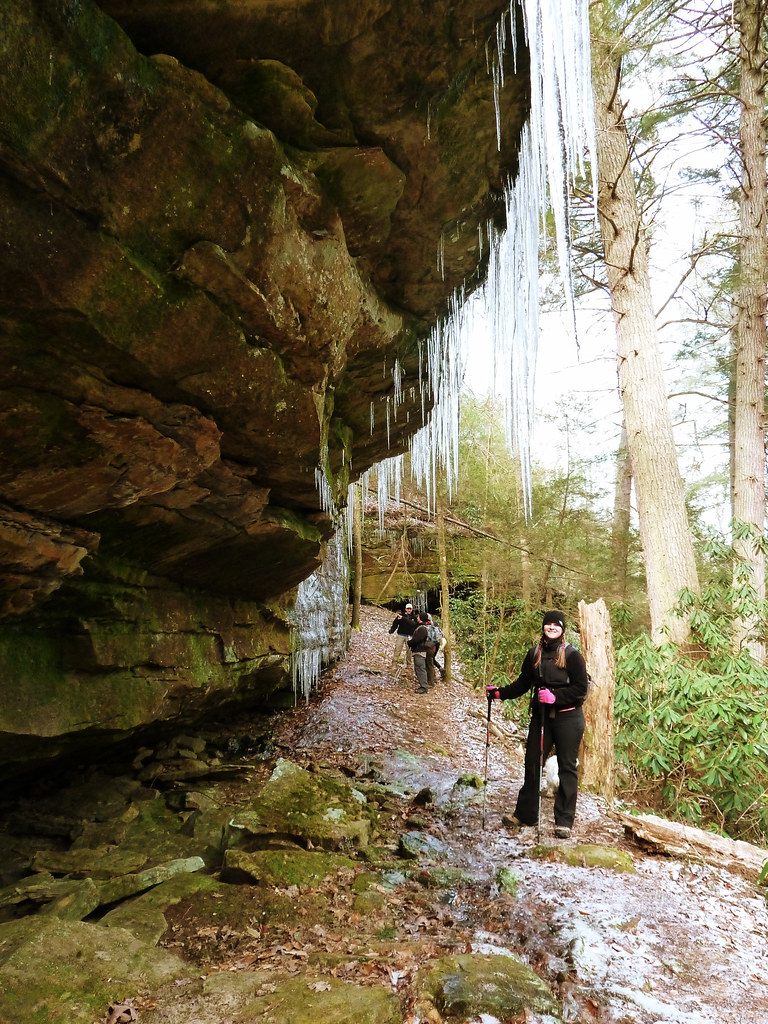 20120114nhmhoneycreekbsf018 Honey Creek hike at Big S… Flickr