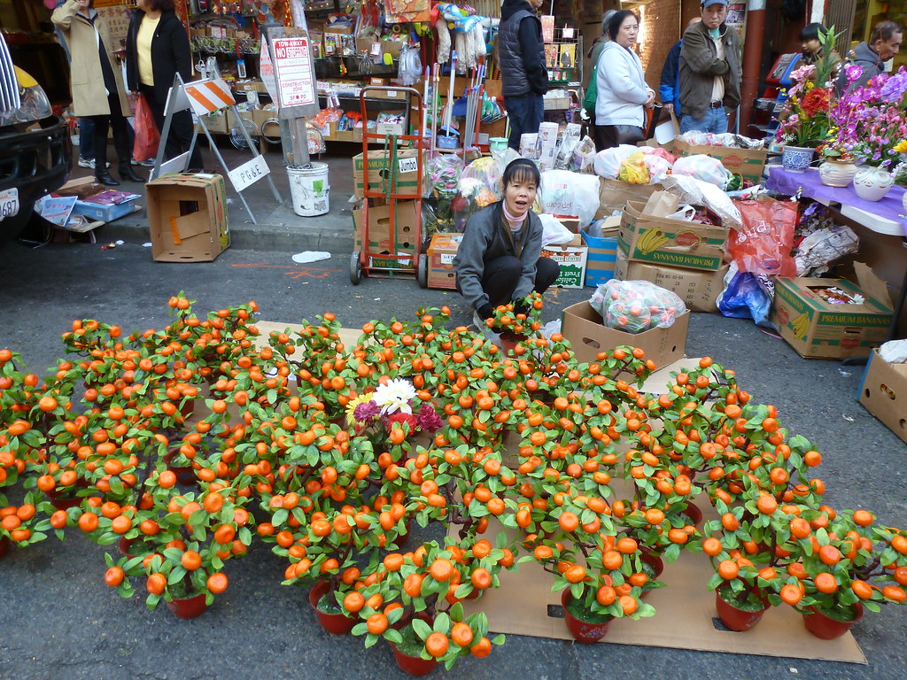 Chinese New Year Flower Fair, day 1 Chinese New Year Flowe… Flickr